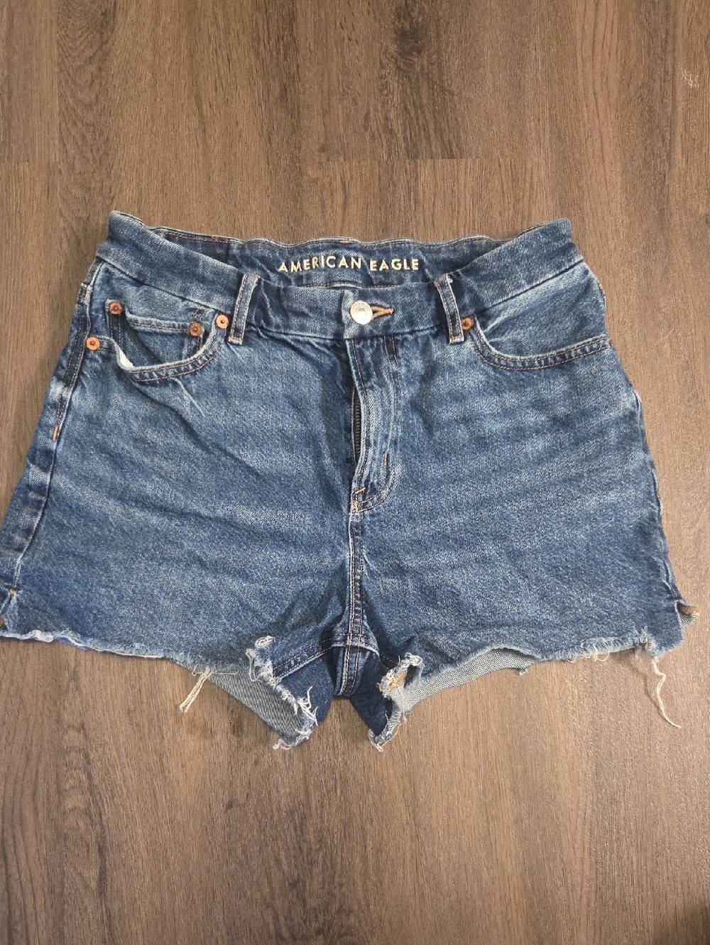 American Eagle Outfitters Distressed Blue Denim Cutoff Shorts